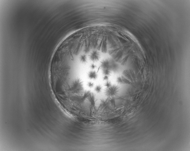 X0000071960811200607212251