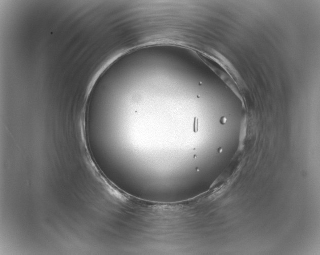 X0000071960812200607212251