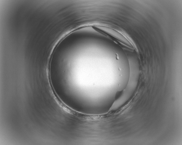 X0000071960813200607212251