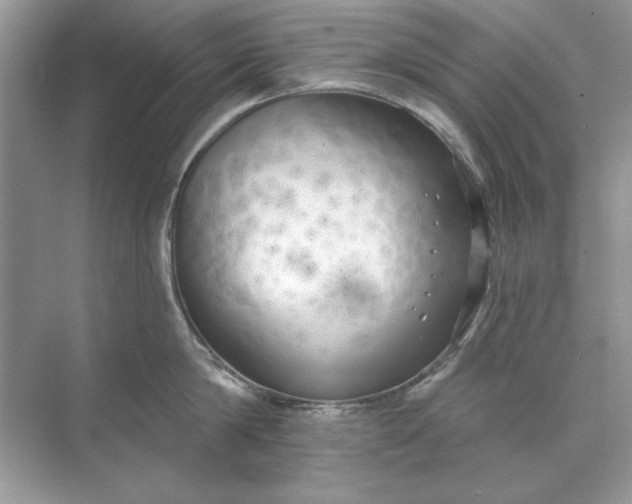 X0000071960814200607212251