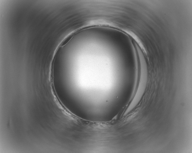 X0000071960815200607212250