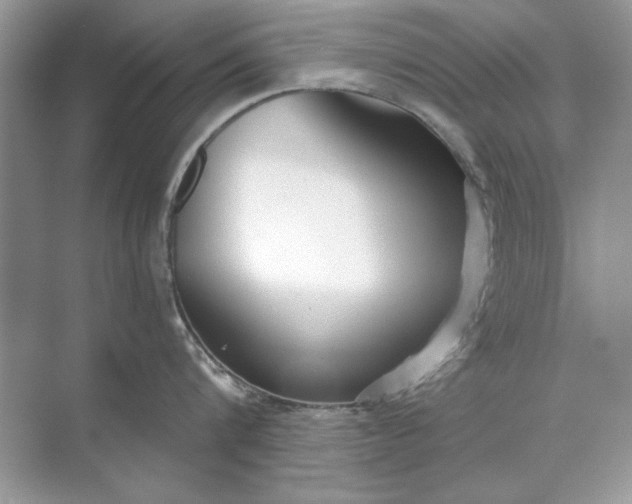 X0000071960816200607212250