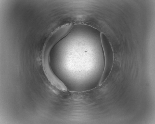 X0000071960818200607212250