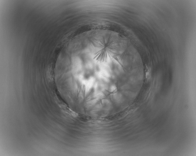 X0000071960819200607212250