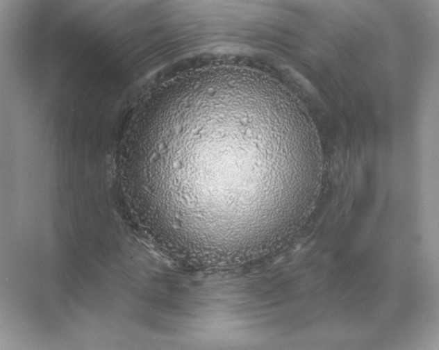 X0000071960821200607212250