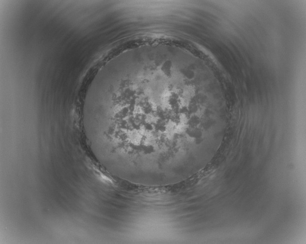 X0000071960823200607212250