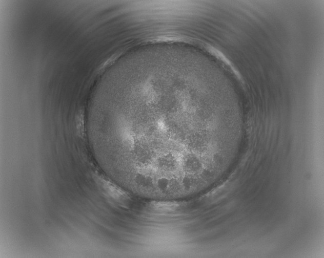 X0000071960825200607212250