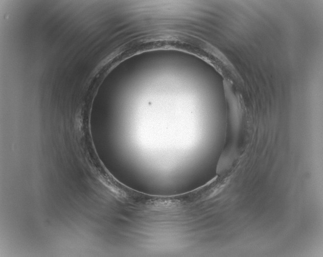 X0000071960826200607212250