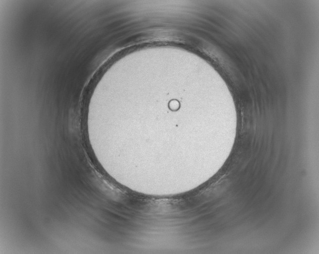 X0000071960828200607212250