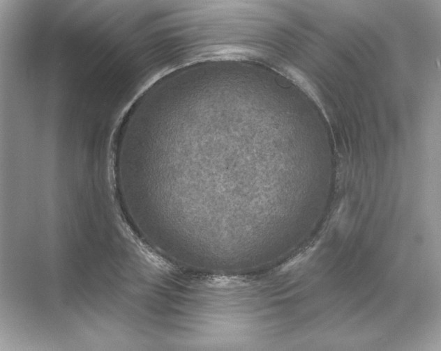 X0000071960835200607212250