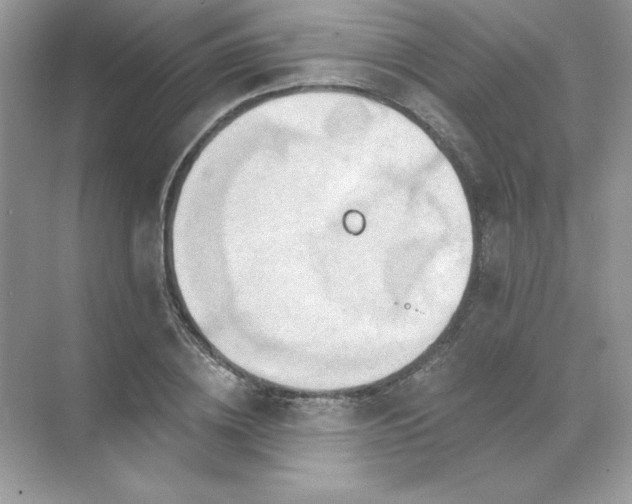 X0000071960836200607212250