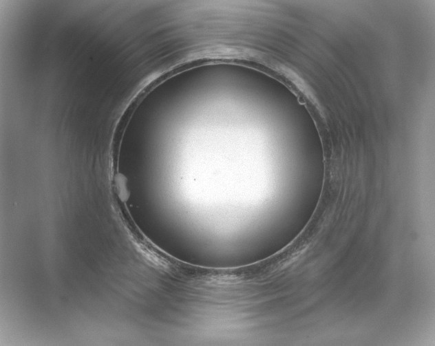 X0000071960837200607212250