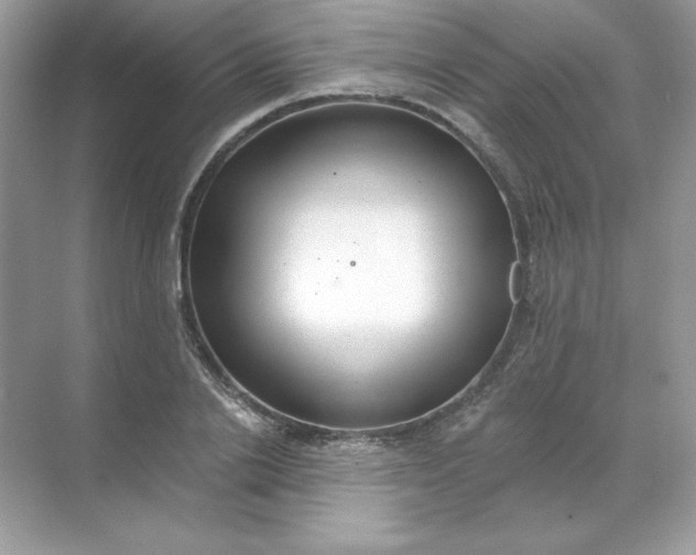 X0000071960838200607212250