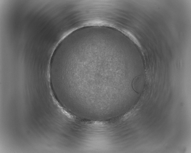 X0000071960839200607212250