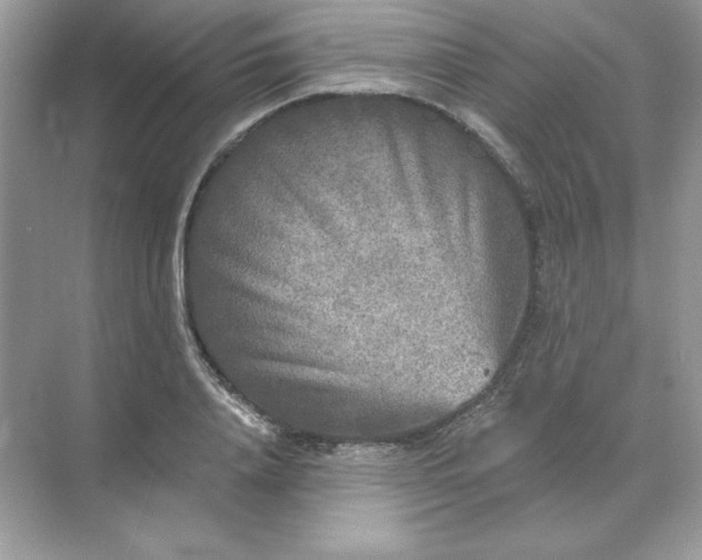 X0000071960840200607212250