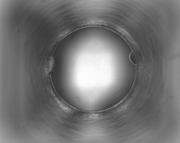 X0000071960841200607212250