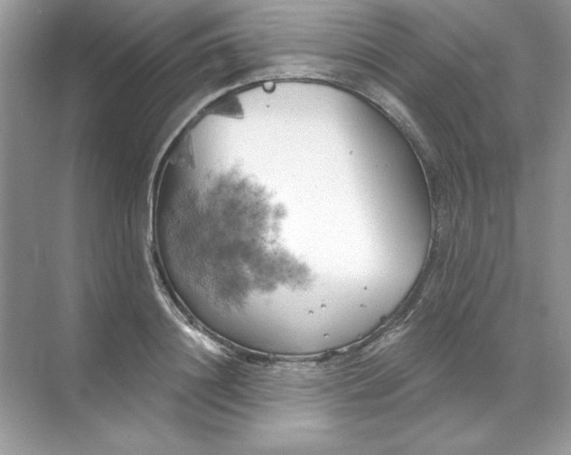 X0000071960844200607212250