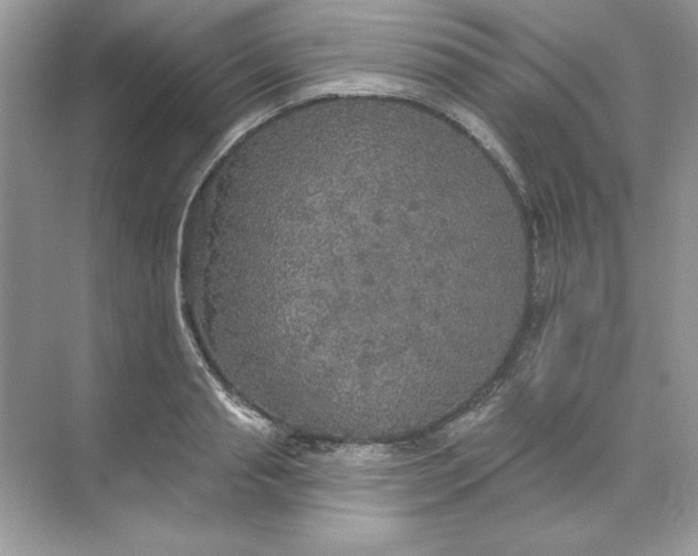 X0000071960845200607212250