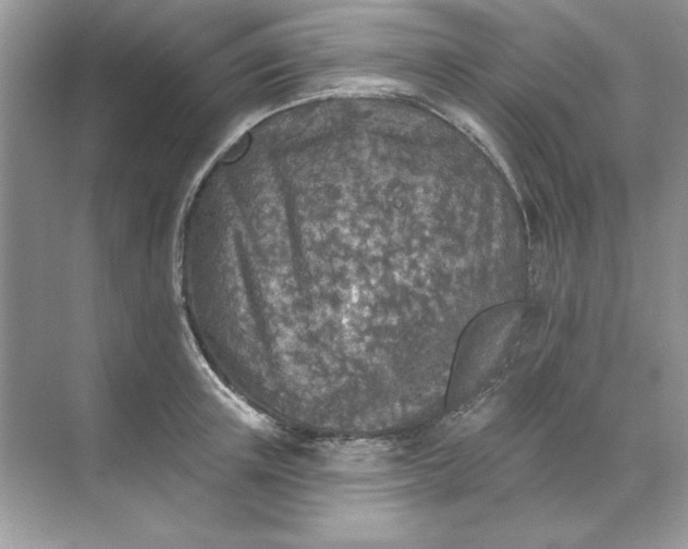 X0000071960851200607212250