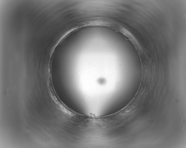 X0000071960852200607212250