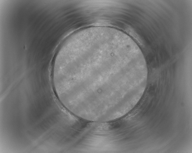 X0000071960856200607212250