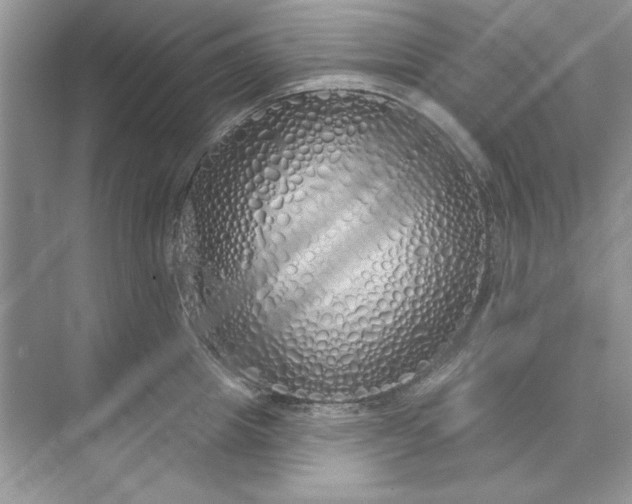 X0000071960857200607212250