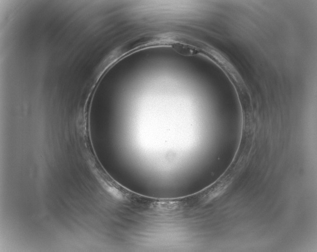 X0000071960858200607212250