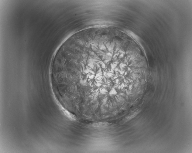 X0000071960859200607212250