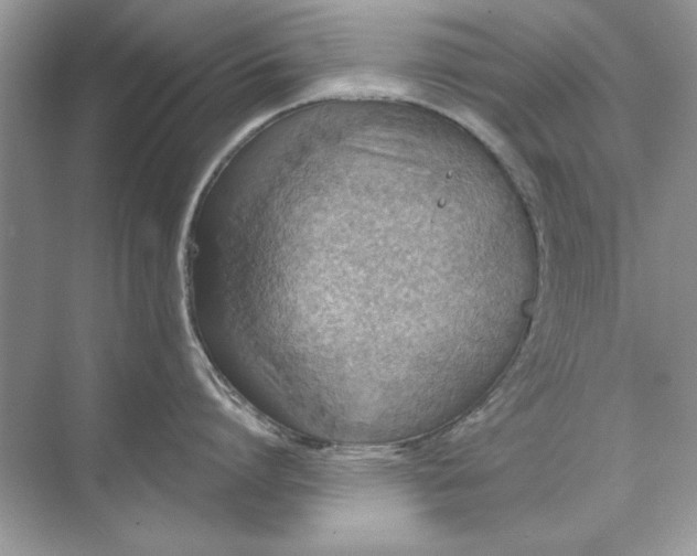 X0000071960864200607212250