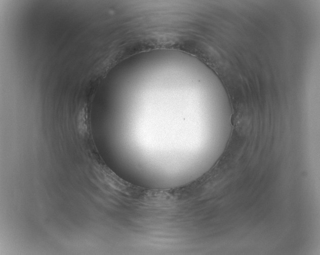 X0000071960866200607212250