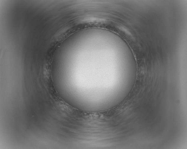 X0000071960869200607212250