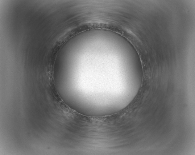 X0000071960870200607212250