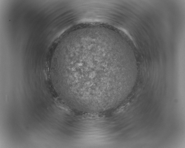 X0000071960871200607212250