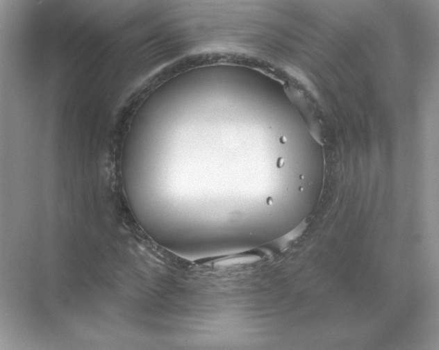 X0000071960872200607212250