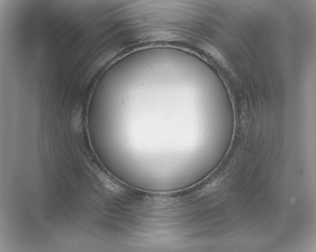 X0000071960873200607212250