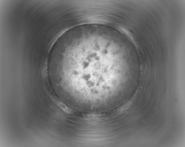 X0000071960875200607212249