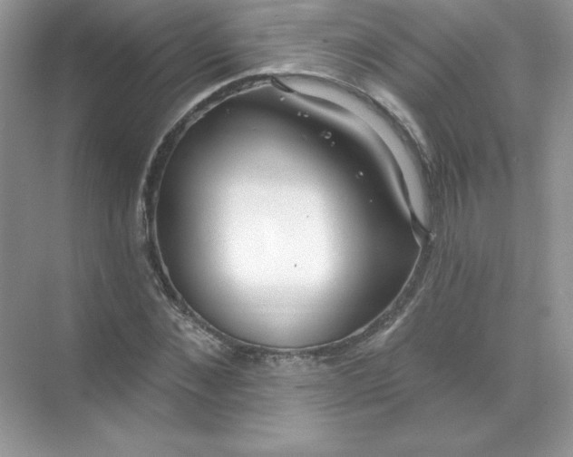 X0000071960876200607212249