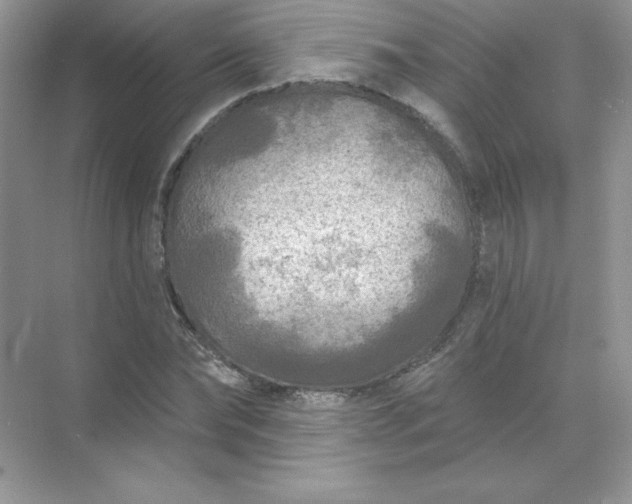 X0000071960878200607212249