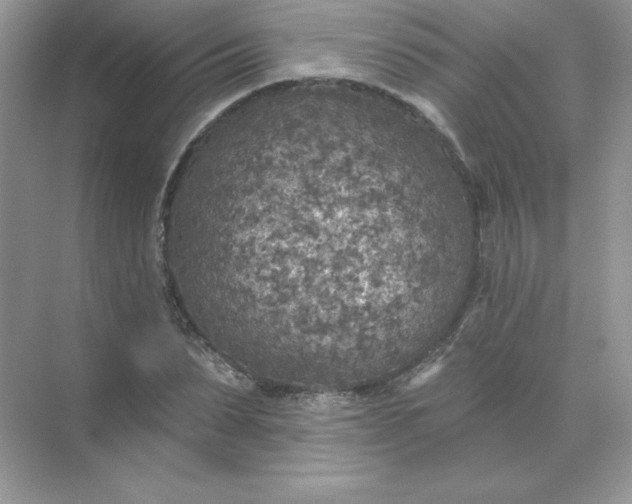 X0000071960879200607212249