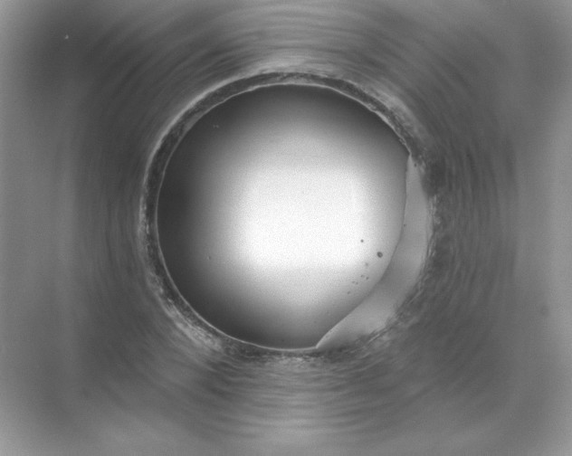 X0000071960880200607212249