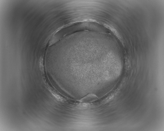 X0000071960881200607212249