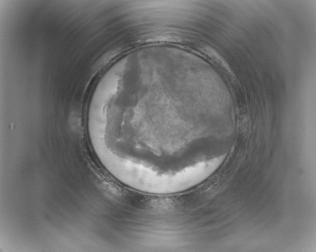 X0000071960882200607212249