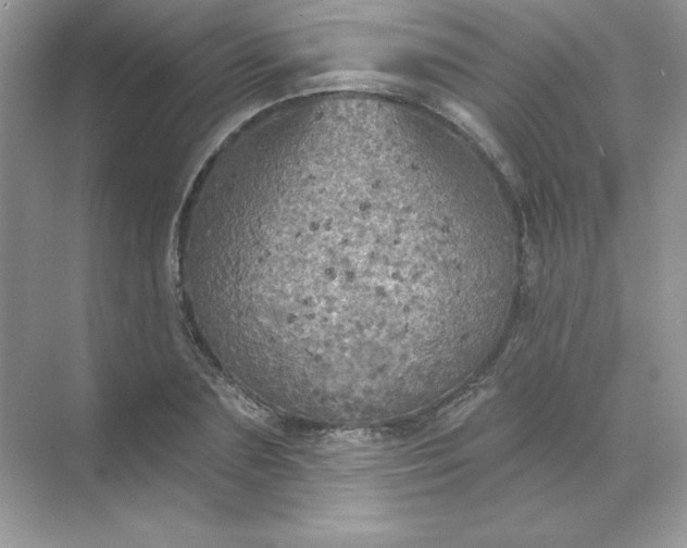 X0000071960883200607212249