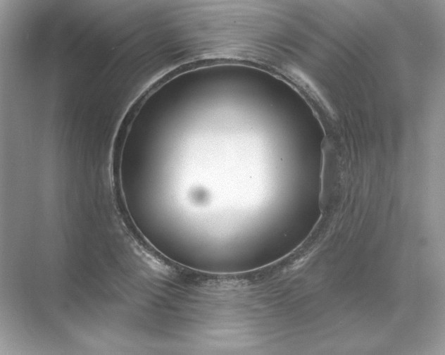 X0000071960884200607212249