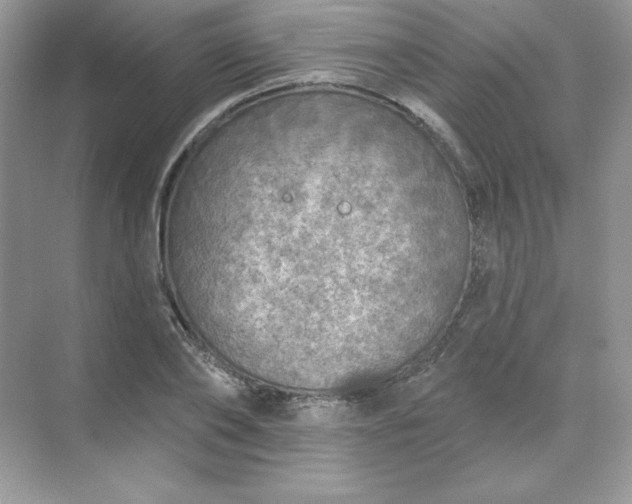 X0000071960886200607212249