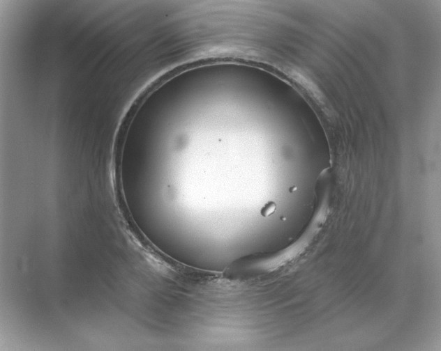 X0000071960888200607212249