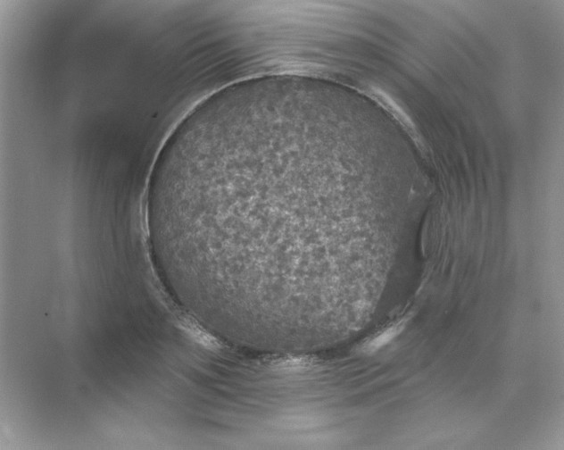 X0000071960891200607212249