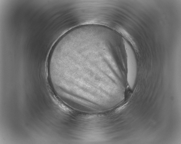 X0000071960892200607212249