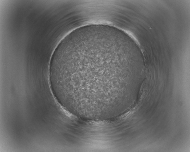 X0000071960895200607212249