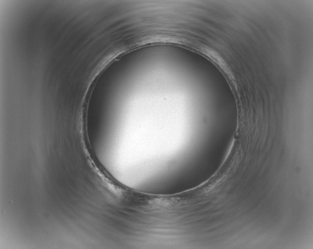 X0000071960898200607212249